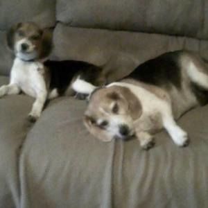 Meet your Posher, Gail